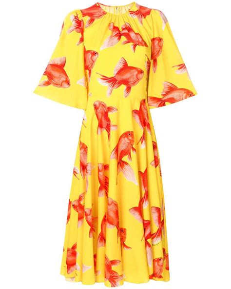 dolce gabbana fish print